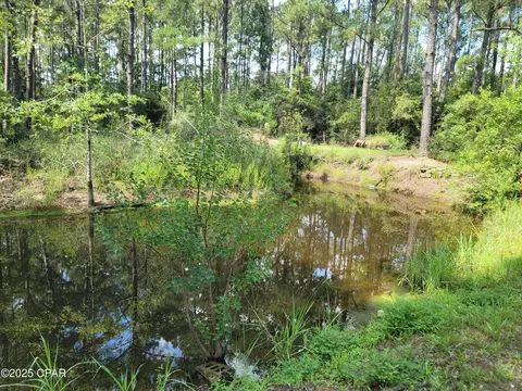 3783 Skipper Rd, Vernon, FL 32462 photo 11
