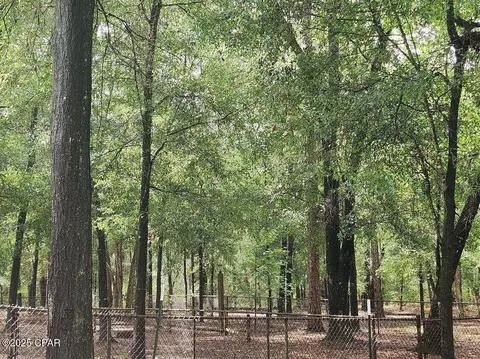 Other - 3359 Antler Trl, Chipley, FL 32428 photo 6 of 18