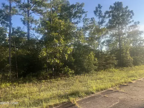 0000 Kelvin St, Chipley, FL 32428