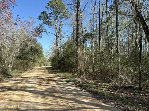 Tract #6317 Harris Stevenson Road, Bonifay, FL 32425
