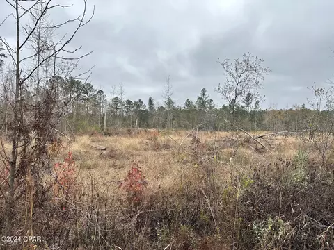 Tract #6402 S Chance Road, Chipley, FL 32428