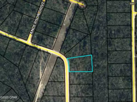 0000 Ocala Dr, Alford, FL 32420