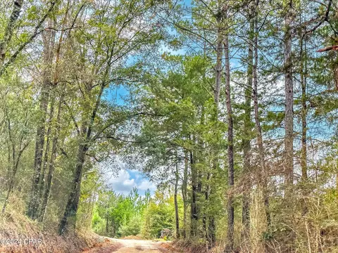 Tract 6418 NW Bryant Bay Road Mattox Springs Road #NW 97, Caryville, FL 32427
