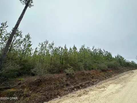 6418 Mattox Springs Road #1, Caryville, FL 32427