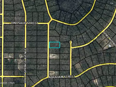 0000 Chattahoochee Ave, Alford, FL 32420