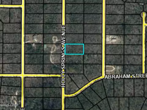 0000 Holly Springs Ave, Alford, FL 32420