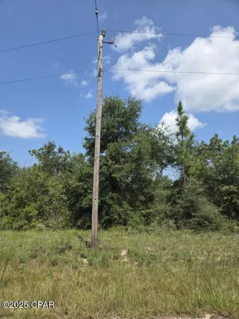 00 Flagler Dr, Chipley, FL 32428 photo 7