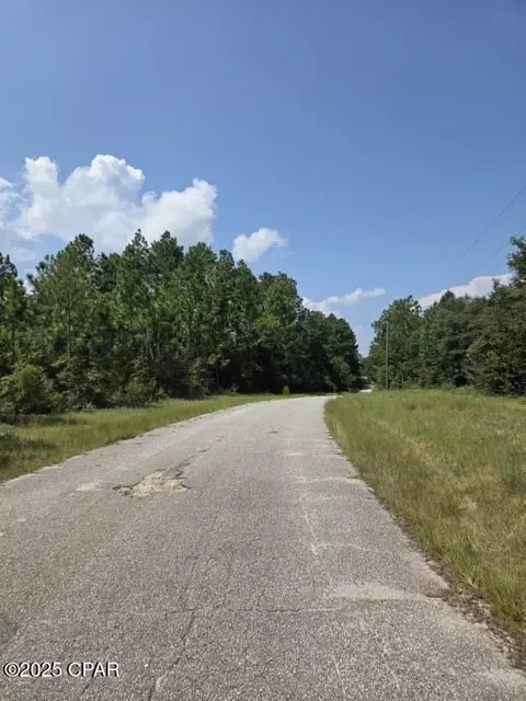 00 Flagler Dr, Chipley, FL 32428 photo 3