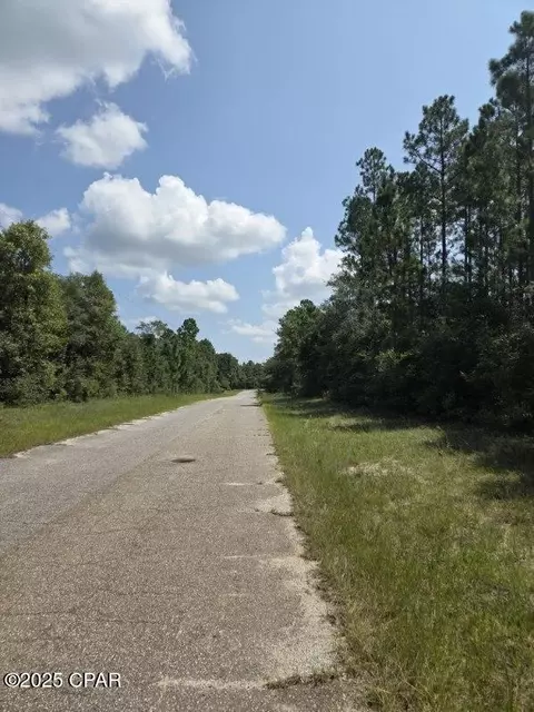 00 Flagler Dr, Chipley, FL 32428 photo 2