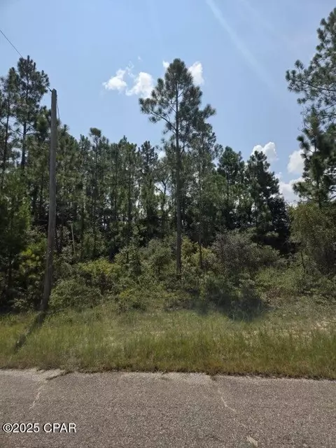 00 Flagler Dr, Chipley, FL 32428 photo 4