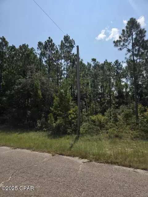 00 Flagler Dr, Chipley, FL 32428 photo 5