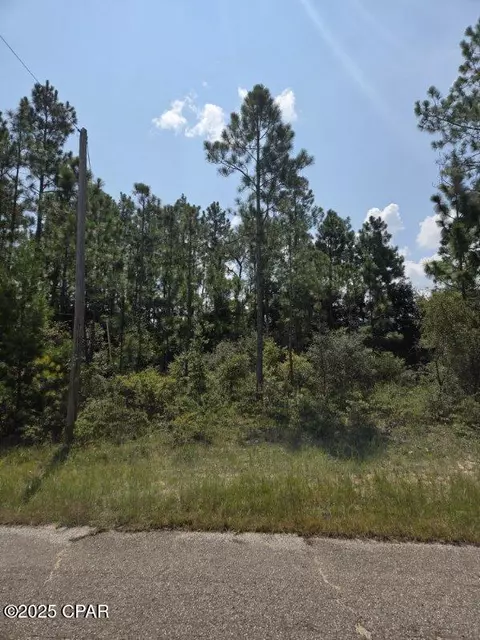 00 Flagler Dr, Chipley, FL 32428 photo 6