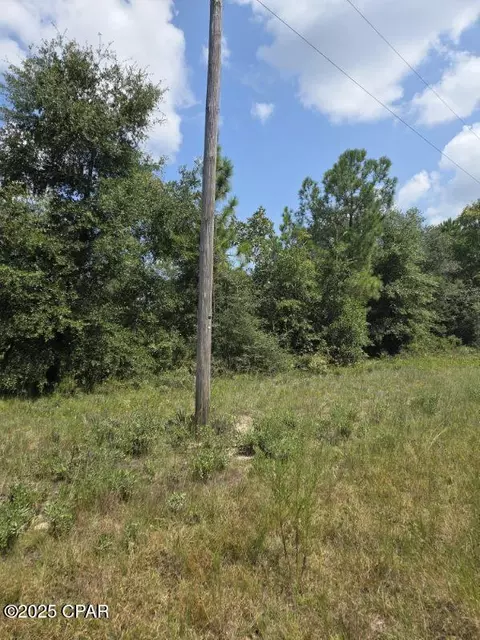 00 Flagler Dr, Chipley, FL 32428 photo 9
