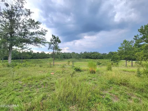 00 Lovedale Rd, Bascom, FL 32423 photo 2