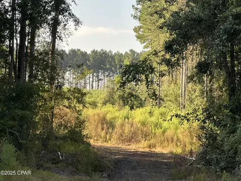 Tract #6201 Doyle Morgan Road, Defuniak Springs, FL 32433
