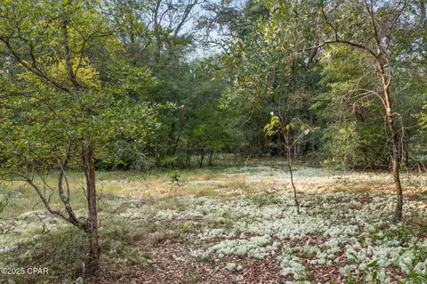 4076 Pentas Way, Chipley, FL 32428 photo 34