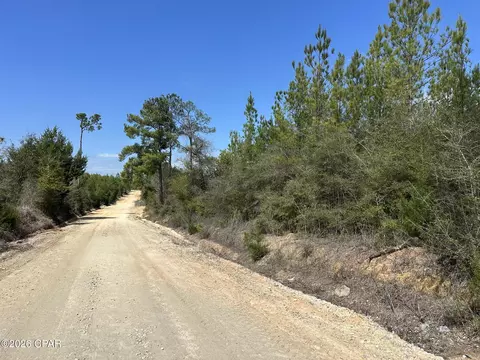 Tract# Mattox Springs Road #NORTH 2, Caryville, FL 32427