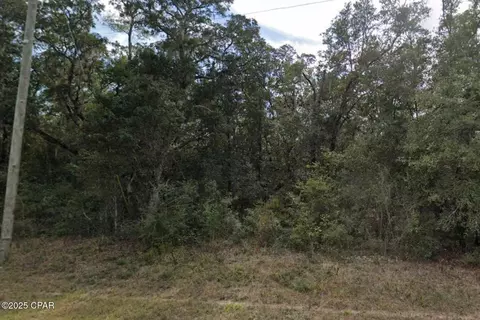 lot44 Apollo Dr, Chipley, FL 32428 photo 3