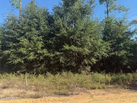 Nnn Finch Circle, Chipley, FL 32428