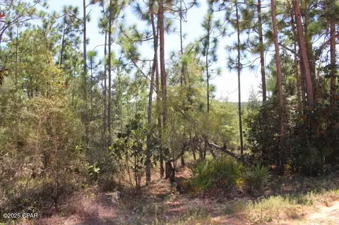 0 Sycamore St, Alford, FL 32420