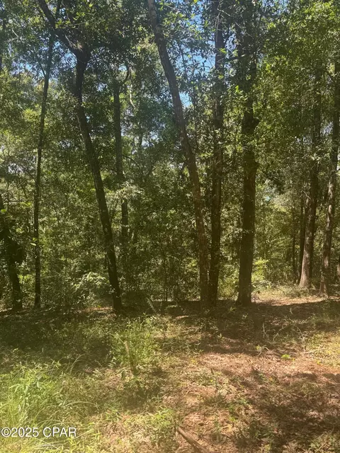 00 Dove Ct, Chipley, FL 32428 photo 3