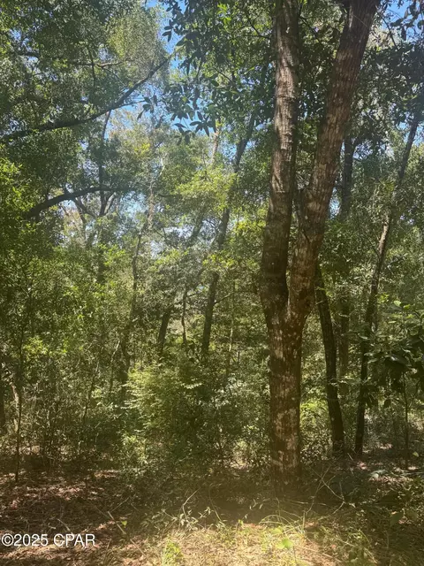 00 Dove Ct, Chipley, FL 32428 photo 2