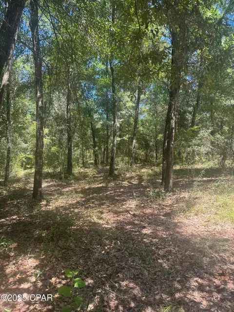 00 Dove Ct, Chipley, FL 32428