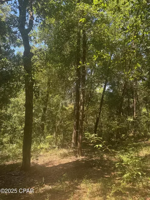 00 Dove Ct, Chipley, FL 32428 photo 4