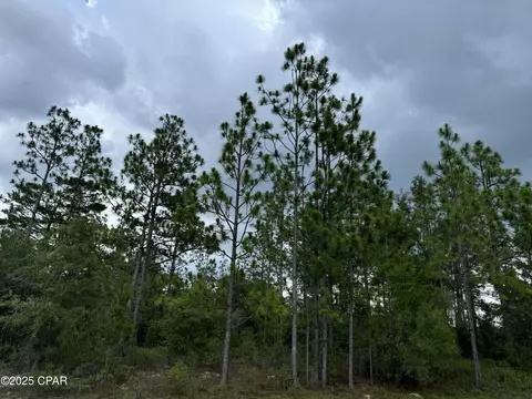 0000 Tippet St, Chipley, FL 32428