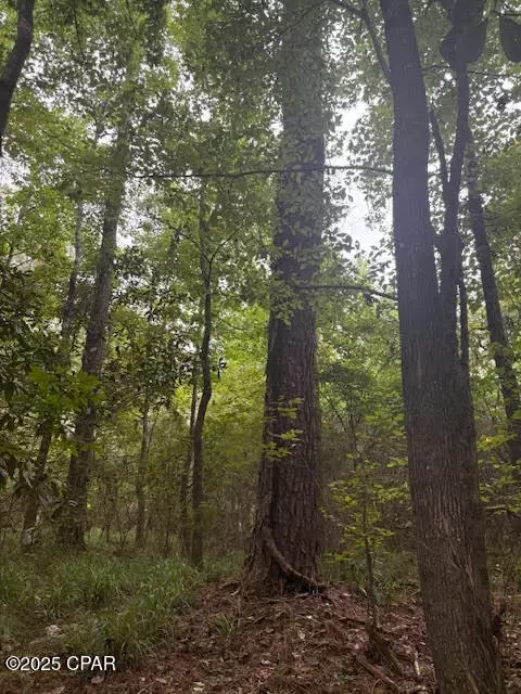 0 Pt Milligan Rd, Quincy, FL 32352