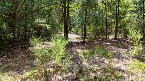Other - 1730 Firetower Rd, Chipley, FL 32428 photo 21 of 21