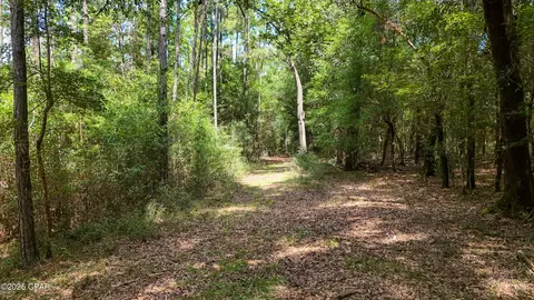 Other - 1730 Firetower Rd, Chipley, FL 32428 photo 16 of 21