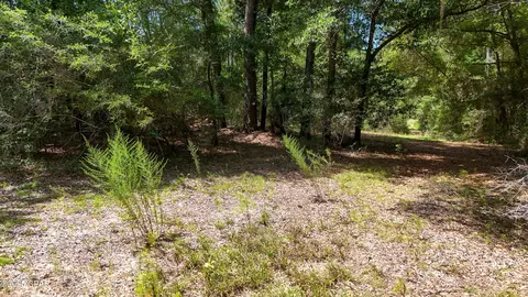 Other - 1730 Firetower Rd, Chipley, FL 32428 photo 20 of 21