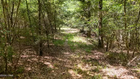 Other - 1730 Firetower Rd, Chipley, FL 32428 photo 18 of 21