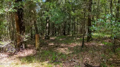 Other - 1730 Firetower Rd, Chipley, FL 32428 photo 17 of 21