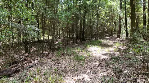 Other - 1730 Firetower Rd, Chipley, FL 32428 photo 19 of 21