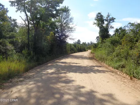 00 Hightower Rd, Vernon, FL 32462 photo 4
