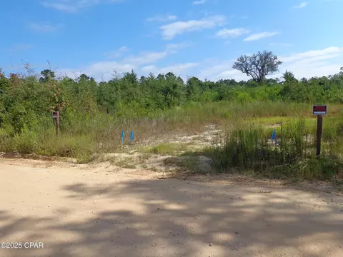 00 Hightower Rd, Vernon, FL 32462 photo 6