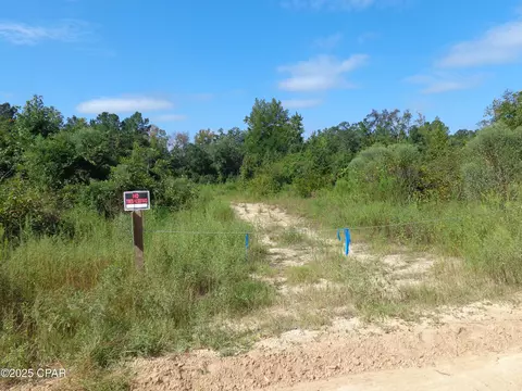 00 Hightower Rd, Vernon, FL 32462 photo 5
