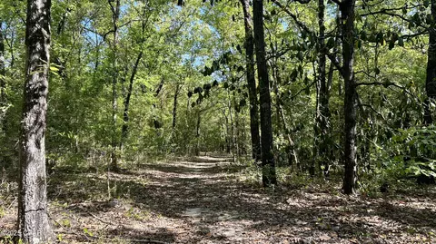 4264 Cleveland Rd, Milton, FL 32570 photo 15