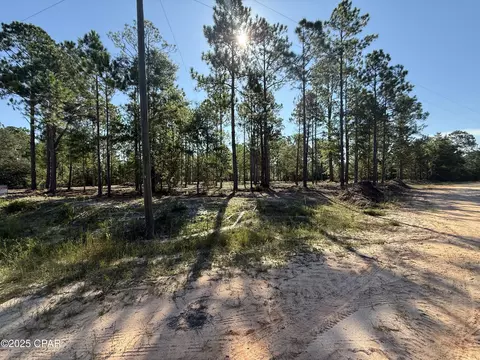 00 Adams Dr, Alford, FL 32420