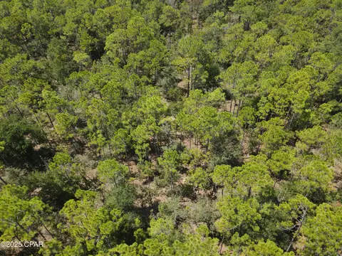 00 Sally Rd, Chipley, FL 32428 photo 3