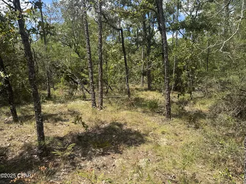 00 Sally Rd, Chipley, FL 32428 photo 6