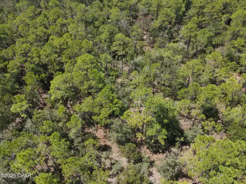 00 Sally Rd, Chipley, FL 32428 photo 4