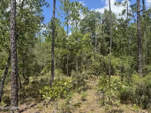 00 Sally Rd, Chipley, FL 32428 photo 7