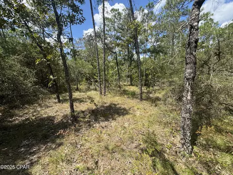 00 Sally Rd, Chipley, FL 32428 photo 5