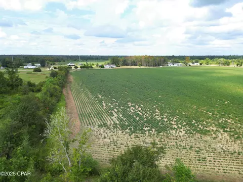tbd NW Ashley Shiver Rd, Altha, FL 32421 photo 6
