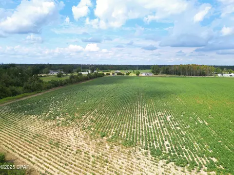 tbd NW Ashley Shiver Rd, Altha, FL 32421 photo 7
