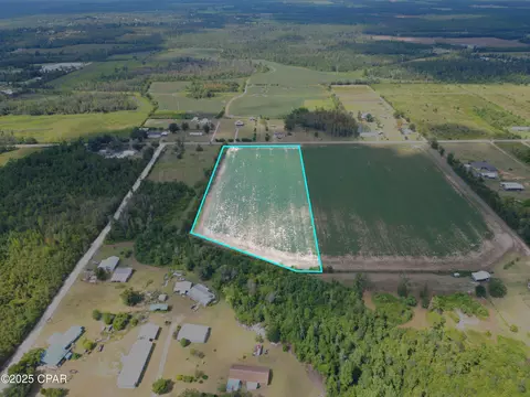 tbd NW Ashley Shiver Rd, Altha, FL 32421 photo 8