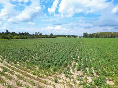 tbd NW Ashley Shiver Rd, Altha, FL 32421 photo 3